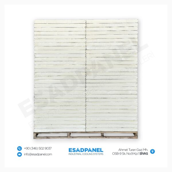 353846298 271769042096872 1616888168697142117 n