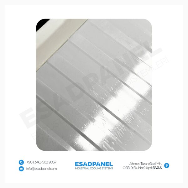 354258228 271769072096869 7742748286049047334 n