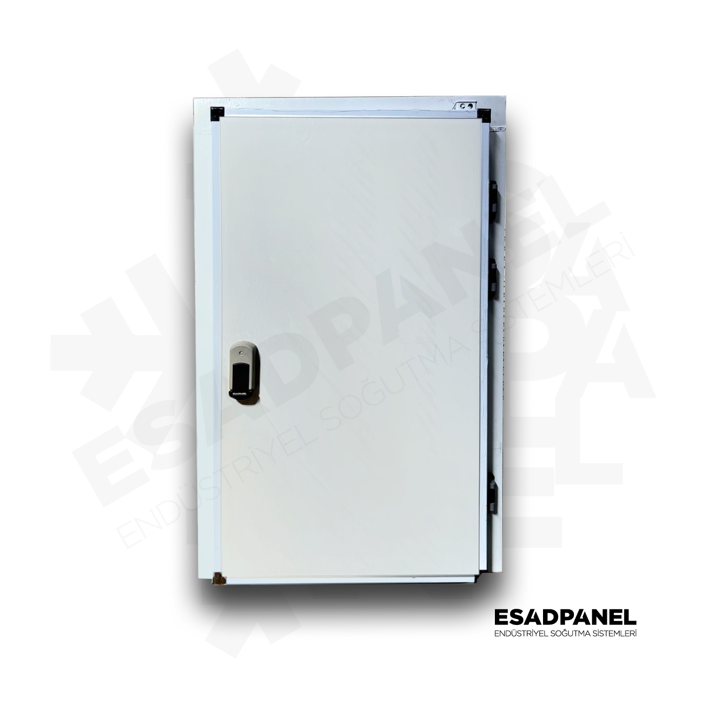 cold storage / cold room cold storage hinged or swing doors