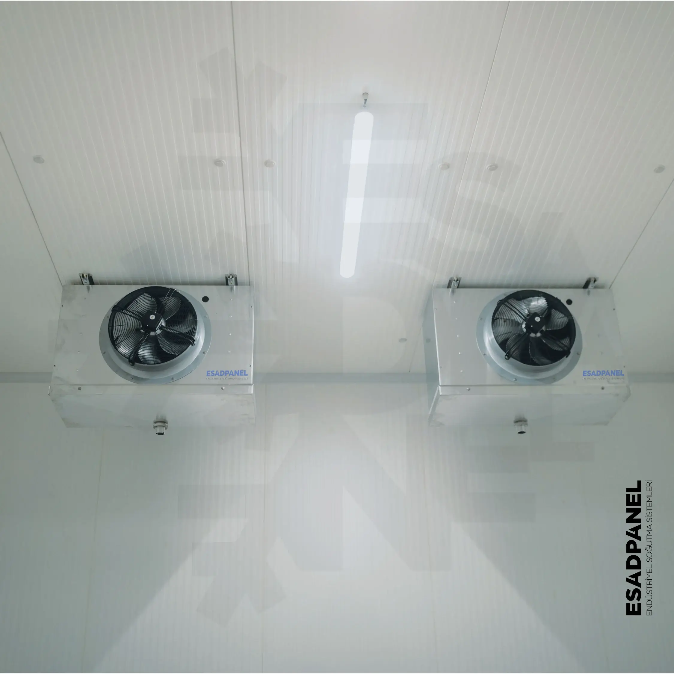 Cold Storage | Cold Room