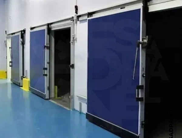 Georgia Cold Room Door Blue Sliding Door