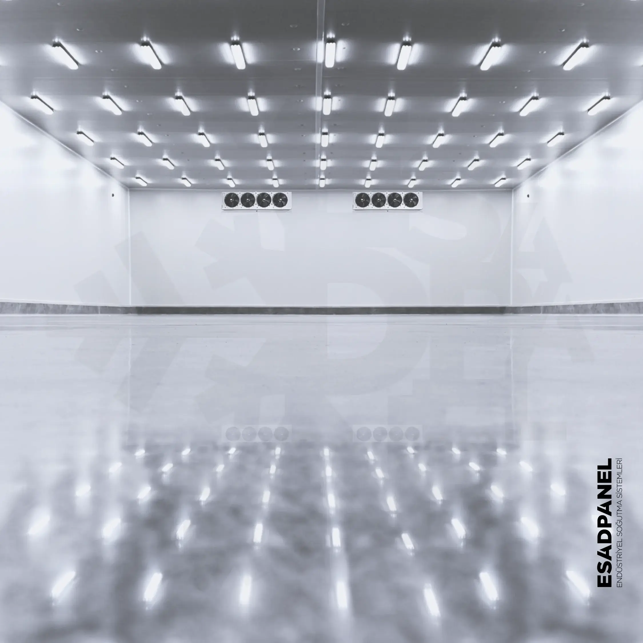 Cold Storage | Cold Room