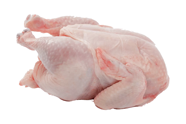 chicken cold room cold storage frozen freezer chicken