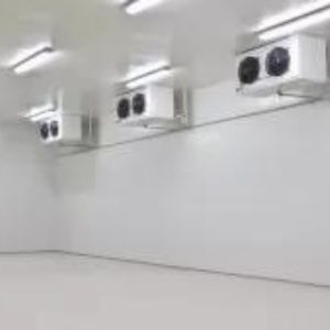 Cold Storage Rooms 23 israil