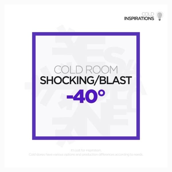 How Can I Get A Cold Storage Quotation? 7 BLAST FREEZER