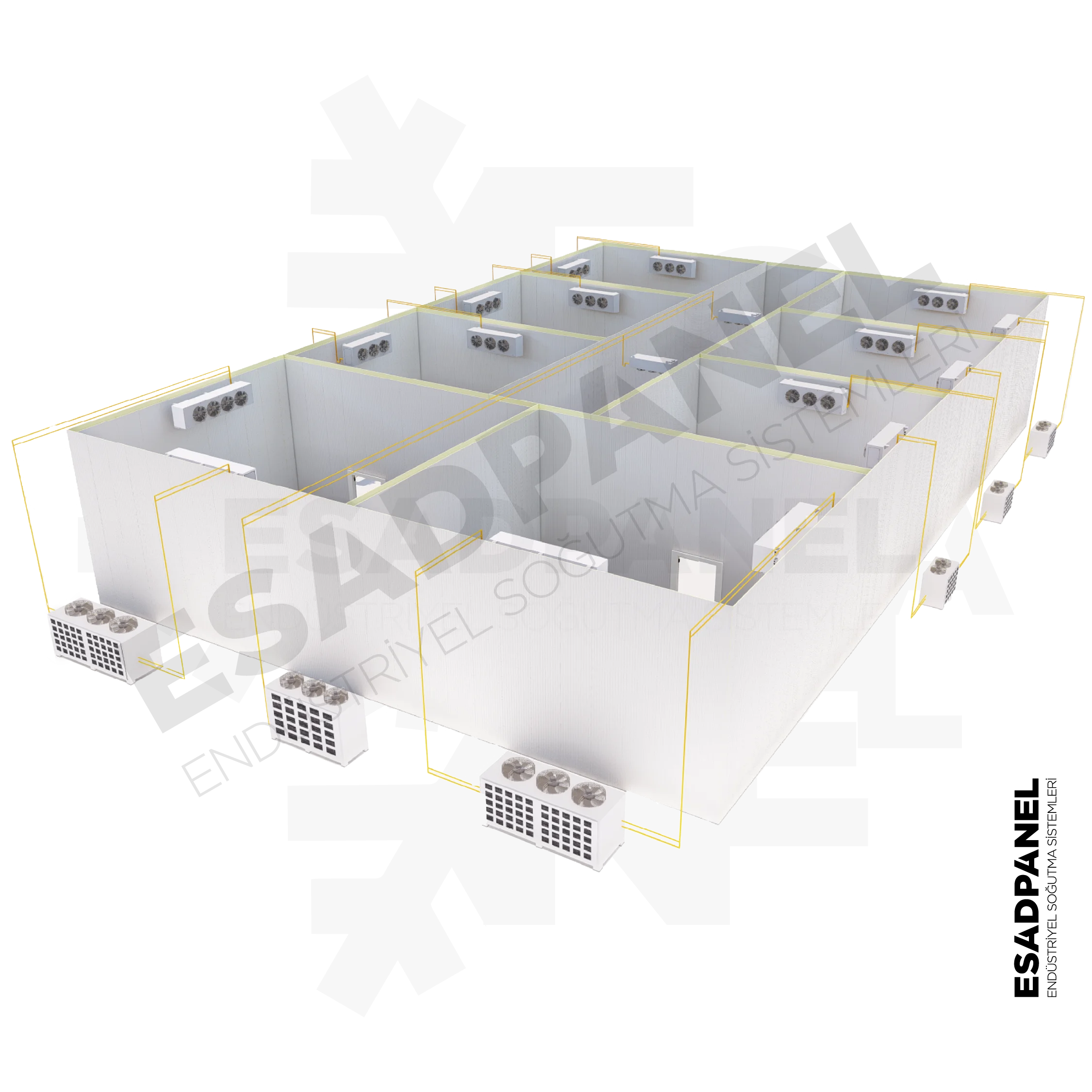 Senegal Cold Storage Fish Seafood. Freezer Frozen Fish Chambre Froide Warehouse