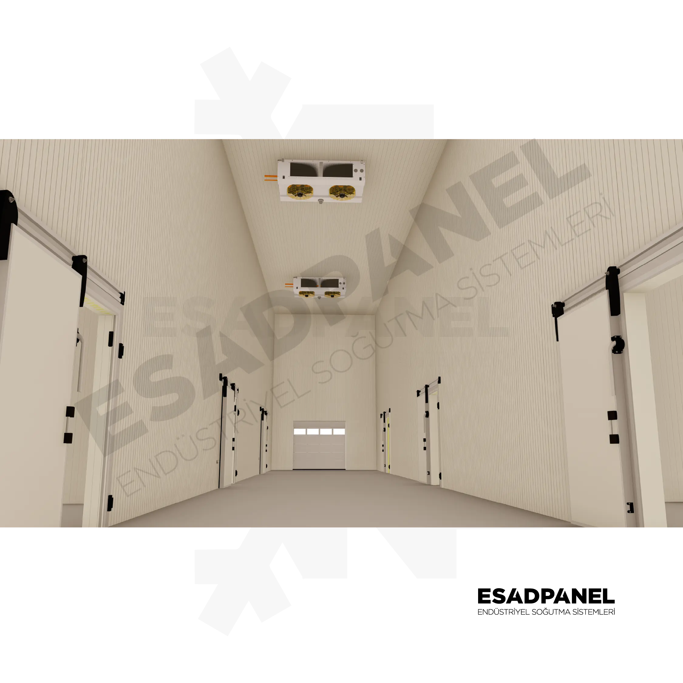 Senegal Cold Storage Fish Seafood. Freezer Frozen Fish Chambre Froide Warehouse4