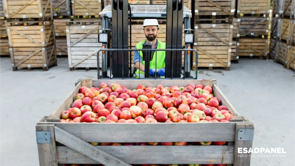 Apple Cold Room - Apple Crate - Forklift Carrying Apples in Cold Storage
