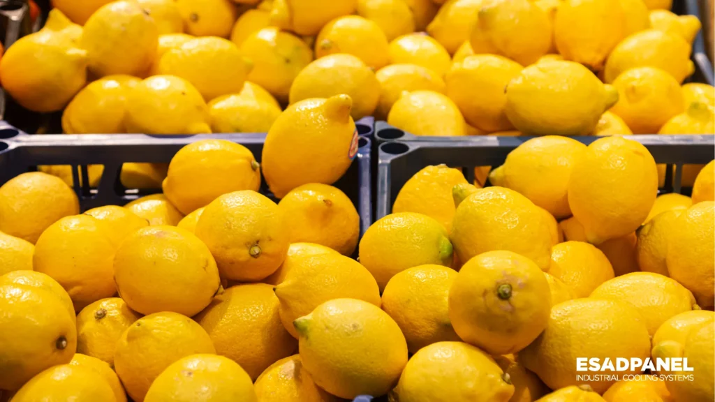 Lemon Storage - Lemon Cold Storage - Lemon Cold Room