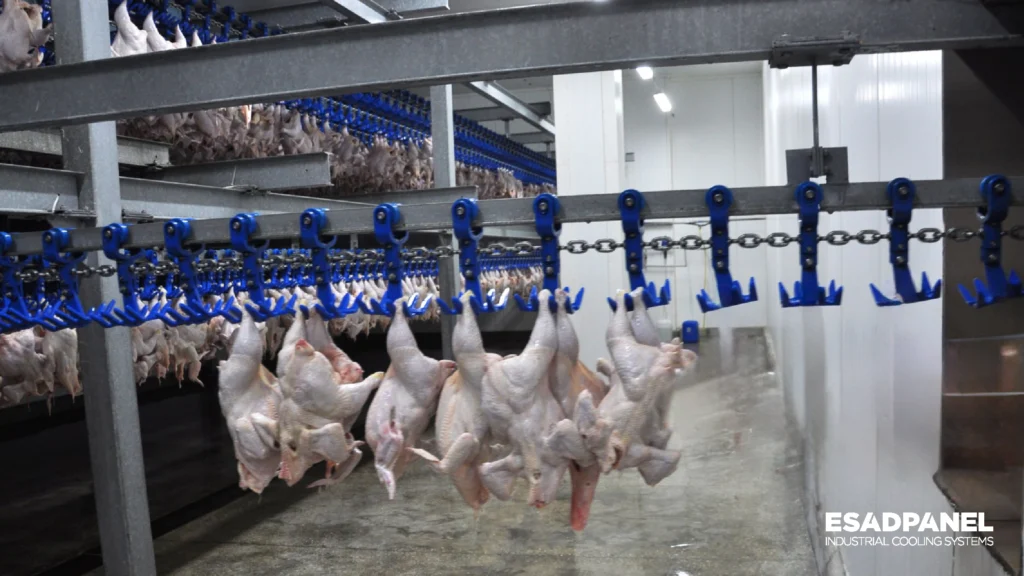 Chicken cold storage chicken cold room ,chicken warehouse