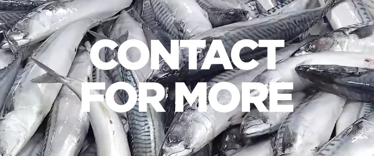 Fish Storage, Fish cold Room, Fish cold storage,