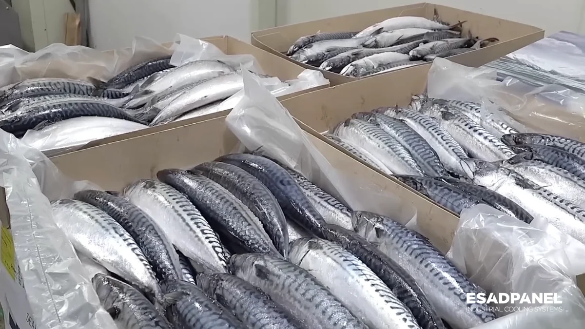 detail more fish storage