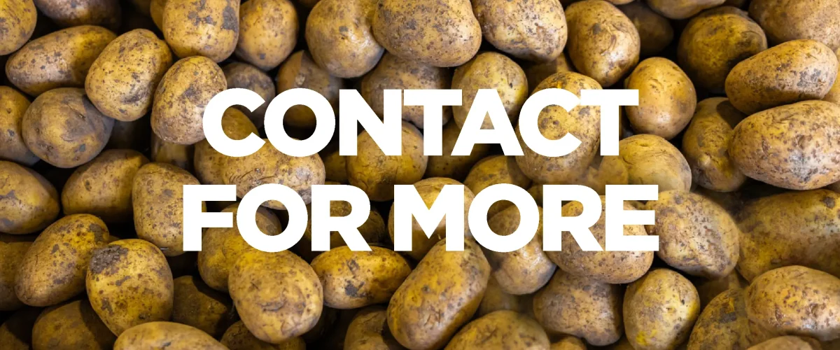 potato cold storage potato cold room